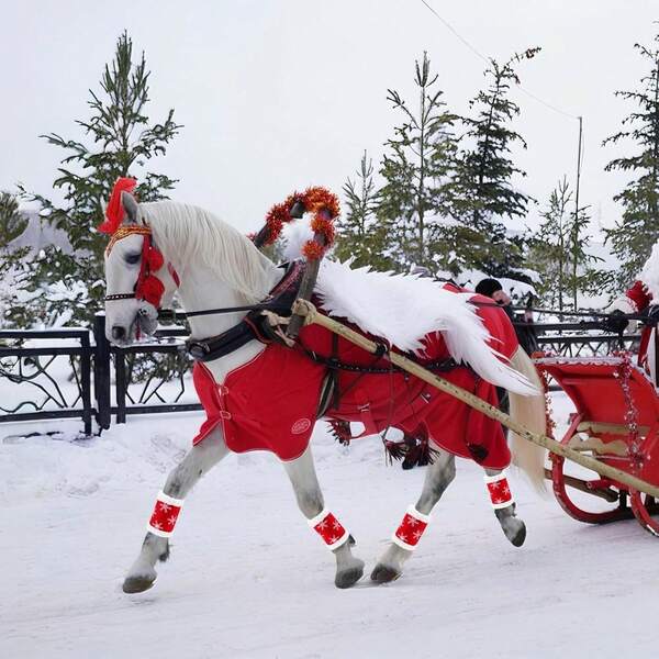 4pcs Christmas Themed Red Horse Leg Wraps, Soft Thick Fleece Lining, Suitable For Horses