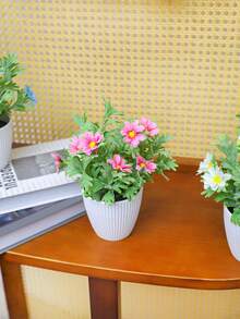 Potted Plant-1pc