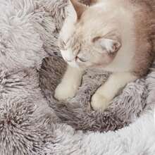 Calming Soft Round Dog & Cat Bed, Anti-Anxiety Donut Cuddler Warming Cozy Fluffy Faux Fur Plush Cushion Bed For Small Medium Pets (20"/24"/27"/30"), Light Grey - Trắng Xám - Xem 5
