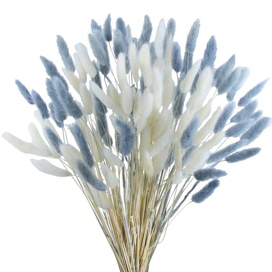 100根混合装干兔尾巴束 - 非常适合DIY插花和家居装饰 | 适用于婚礼、乡村风格以及万圣节、情人节、感恩节和圣诞节等庆祝活动 - 彩色 - 查看 1