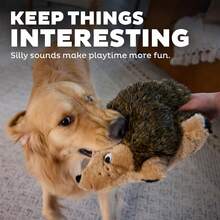 Outward Hound, Hedgehogz Plush Dog Toy, Large - Chó Nhím Nhồi Bông - Xem 11
