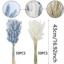 100 piezas de ramos de colas de conejo secas y mezcladas - Perfectas para arreglos florales DIY y decoración del hogar | Ideal para bodas, estilo rústico y celebraciones como Halloween, San Valentín, Acción de Gracias y Navidad