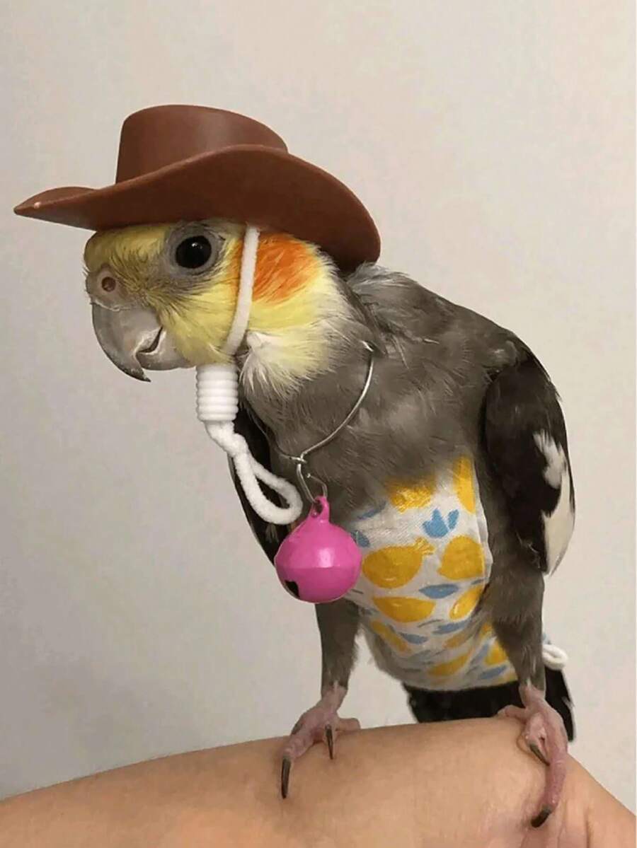 1pc Creative Bird Chick Hat Decoration, Parrot, Teddy Bear, Pet Snake, Bird, Lizard, Frog, Chicken Hat ,Random Color