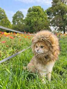 PETSIN 全新可爱搞笑宠物服装帽可爱猫咪假发狮子鬃毛服装角色扮演小猫狗狗帽子带耳朵精致派对用品