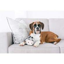 Outward Hound Fattiez Pig Plush Squeaky Dog Toy, Small - Bò xám - Xem 4