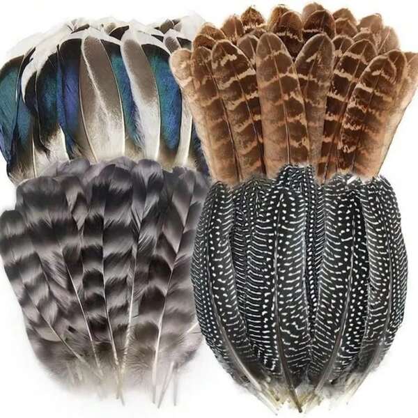 40/48 piezas de plumas a granel - Plumas surtidas, plumas de pavo real, plumas de faisán, plumas de pavo para manualidades DIY, bodas, suministros de artesanía