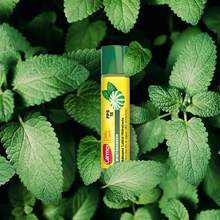 álsamo Labial Natural de 4. 25 gr - Hidratante, Protege y Suaviza, Resiste al Agua, con Protecció Solar FPS 15 y Sabor WinterGreen - Amarillo - Ver 5