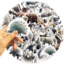 50 张可爱动物贴纸斑马幻影动物园动物贴纸野生动物贴纸丛林动物贴纸动物贴纸乙烯基防水贴纸适用于水瓶、电脑、笔记本电脑、手机、行李箱、笔记本、冰箱 - C - 查看 9