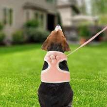 1 pieza Chaleco con correa para perro estilo arnés y correa para perro oso de peluche, correa antideslizante para cachorros con decoración de flores, adecuado para perros y gatos pequeños y medianos, suave y transpirable, ajustable