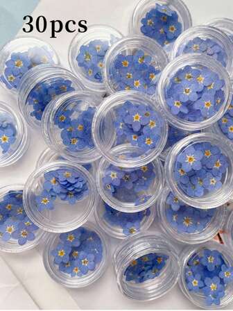 Klassisk torkad förgätmigej, vakuumförseglad förpackning, gjord av vetehalm, perfekt för gör-det-själv-pyssel, gratulationskortstillverkning, ljus- och tvåldekorationer, fotorekvisita, heminredning - perfekt för jul, Halloween, alla hjärtans dag, mors dag (50/40/20/30/60 stycken).