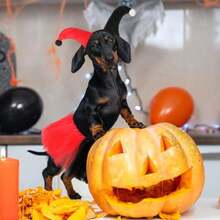 2 Pcs Halloween Dog Clown Costume Set For Small Large Dog Pet Costume Accessories Black Red Skirt Headband For Puppy Cats Halloween Cosplay Outfit Party Favors