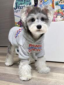 Poodle & Teddy Bear Dog Hoodie, American Print Pet Sweatshirt, Schnauzer Can Easily Pull Off Street Style, Daily Warmth And Pet Must-Have, Stylish And Fashionable Suitable For Small To Medium Dogs, Machine Washable - Grey - View 4