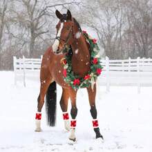 4件装圣诞主题红色马腿套，柔软加厚保暖内衬，适合马匹使用