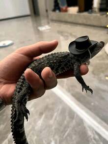 1pc Creative Bird Chick Hat Decoration, Parrot, Teddy Bear, Pet Snake, Bird, Lizard, Frog, Chicken Hat ,Random Color