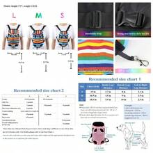 Mediano + Arcoiris (Rainbow)