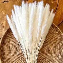 15/30/45/60/120支装干花蒲苇花束 - 人造蓬松白色和棕色蒲苇装饰，适用于家居、花瓶、房间、婚礼、派对 - 适合圣诞节、万圣节、感恩节 - 无需用电 - YH Hi Flower 享受您的生活 - 白色 - 查看 4