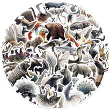 50 张可爱动物贴纸斑马幻影动物园动物贴纸野生动物贴纸丛林动物贴纸动物贴纸乙烯基防水贴纸适用于水瓶、电脑、笔记本电脑、手机、行李箱、笔记本、冰箱 - C - 查看 11