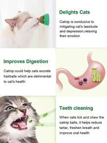 1pc Catnip Ball With RotatingFeature For Grinding Teeth AndCleaning,Catnip Ball WallSticking Crab Cat Toy, SuitableFor Pet Cats To Play And RelieveBoredom Cat Chew Toy WithDigestion Promoting AgentCatnip Ball, Adhesive Cat ToyTeeth Grinding Stick, PetProduct Green Color - Multicolor - View 4