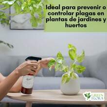 Disposable Soap Sheets - 1 - 查看 4