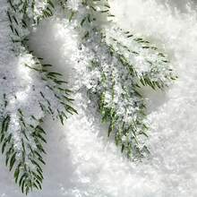 50 جرام/300 جرام/500 جرام ثلج اصطناعي للأعمال اليدوية، بودرة ثلج لامعة، ثلج متألق، كونفيتي ورقي ملون، ديكورات عيد الميلاد وثلوج بلاستيكية للعطلات، ديكور ثلج نمط ، ثلوج ناعمة لعيد الميلاد، حفلة رأس السنة، ديكور المنزل، أدوات المشهد الشتوي - متعدد الألوان - مشاهدة 10