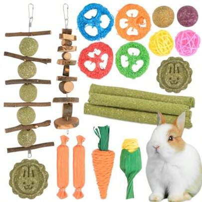 21 Pack Rabbit Toys Set Natural Bunny Chew Toys Rabbit Wooden Chew Toys Small Animal Teething Toys For Teeth Care Natural Timothy Hay Sticks Apple Woo