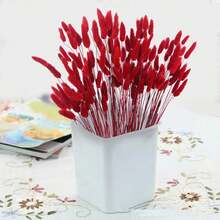 100 piezas de ramos de colas de conejo secas y mezcladas - Perfectas para arreglos florales DIY y decoración del hogar | Ideal para bodas, estilo rústico y celebraciones como Halloween, San Valentín, Acción de Gracias y Navidad