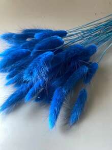 60/120/180/240pcs Natural Dried Flowers Decor, Natural Dried Rabbit Tail Grass, Dried Cattail, For Home Decor, Wedding Decor, Party Decor, DIY Crafts, Photography Props, Theme Decor, 17.7 Inches (White)