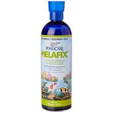 API Bacterial Fish Infections Remedy 473 Ml