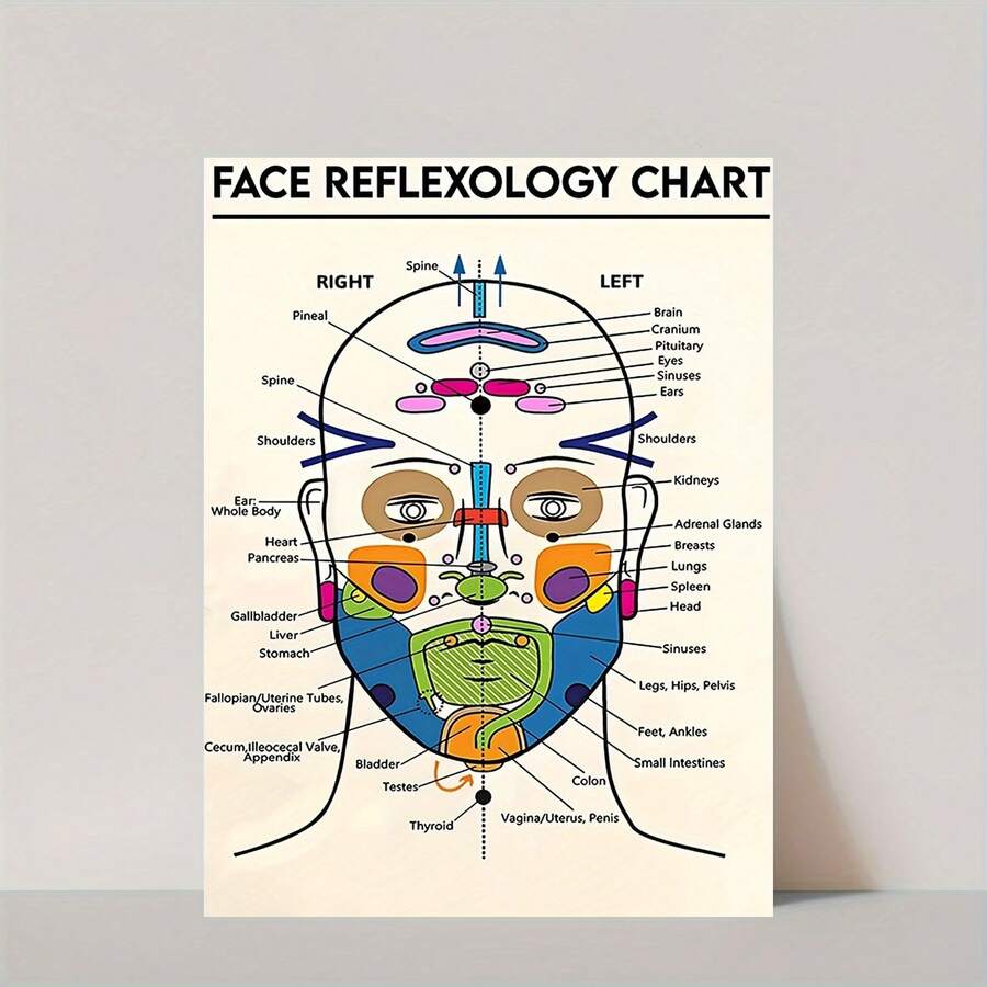 1pc Face Reflexology Chart Canvas Print, Facial Muscles Anatomy Wall Art, Massage Therapy Educational Poster, Canvas Gift For Massage Therapists, Home Decor, Frameless Halloween Decoration - A - View 1