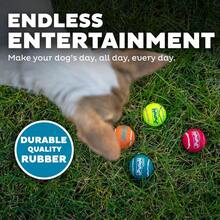 Outward Hound Squeaker Ballz 4-Pack Tennis Ball Dog Toys With Squeaker, Interactive Fetch Play For Pets Under 50 Lbs, Training Balls For Indoor & Outdoor Exercise, Medium, 2.5-Inch - Multi Squeaker Balls - 查看 4