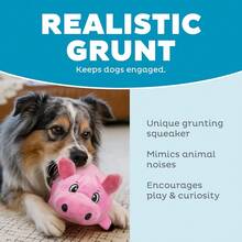 Outward Hound Fattiez Pig Plush Squeaky Dog Toy, Small - 粉紅豬 - 查看 4