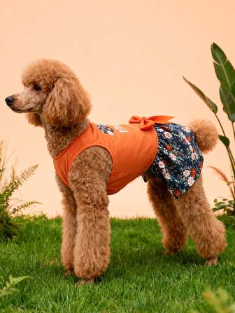 1pc Cross-Border E-Commerce Popular Pet Contrast Ditsy Floral Dress, Cute Teddy Bear Jumper Style Dog Dress, Warm & Fashionable Women's Dog Lover Dress For Autumn/Winter