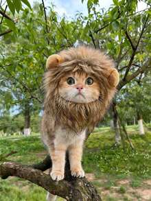 PETSIN 全新可爱搞笑宠物服装帽可爱猫咪假发狮子鬃毛服装角色扮演小猫狗狗帽子带耳朵精致派对用品