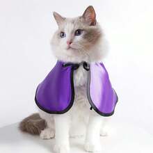 Conjunto de 2 disfraces de Halloween para mascotas, con cara de murciélago y gorra para perro y gato, accesorios para vacaciones de invierno. - Morado - Ver 3