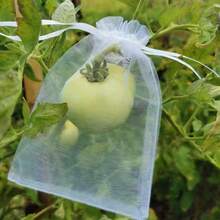 100个装葡萄水果种植袋网眼草莓蔬菜植物保护袋用于害虫控制防鸟园艺工具 - 彩色 - 查看 4