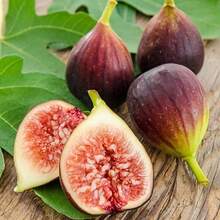 900+ Dwarf Turkish Brown Fig Heirloom Seeds: Easy-To-Grow Gar Plants Live   Vegetable Seeds Seeds Hosta Plants Live Plants Plants Gardening Flower Seeds Plant Flowers For Outside Semillas De Flores Para Sembrar Gardening  All  Live Plants Not Seeds Live Plants  Plants For Outside Mosquito Repellent Outdoor Garden Perennial Plants Seeds For Planting Live Plants  Not Seeds Perennial Flower Seeds Plant Seeds - 1包 - 查看 1
