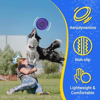 Go Flying Disc, 9 Inch Weight  For Beginners Outdoor Beach Park Backyard Game - 70g,24329859