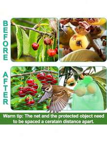 塑料花园防鸟网，适用于蔬菜、植物、花卉和果树，耐用的塑料温室框架防虫围栏，防止鸟类、松鼠、猫、狗、鸡和其他动物进入，池塘尼龙编织防护罩 - 彩色 - 查看 7