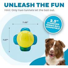 Outward Hound Squeaker Ballz 4-Pack Tennis Ball Dog Toys With Squeaker, Interactive Fetch Play For Pets Under 50 Lbs, Training Balls For Indoor & Outdoor Exercise, Medium, 2.5-Inch - 藍色迷宮熱潮 - 查看 3