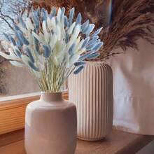 100 piezas de ramos de colas de conejo secas y mezcladas - Perfectas para arreglos florales DIY y decoración del hogar | Ideal para bodas, estilo rústico y celebraciones como Halloween, San Valentín, Acción de Gracias y Navidad