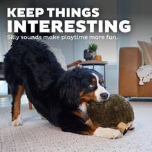 Outward Hound Hedgehogz Plush Dog Toy, Small - Chó Nhím Nhồi Bông - Xem 4