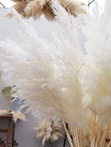 10/20/30/40支人造白色芦苇，奢华迷你香蒲干花，逼真家居及桌面花瓶装饰，完美适用于婚礼、波西米亚风派对、秋季花束、情人节、DIY手工，无羽毛，无需电源 - 白色 - 查看 5