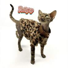 Winter Pet Clothes, Leopard Print Plush Pet Sweater, Warm And Comfortable, Suitable For Medium And Small Cats And Dogs, Fits Breeds Like American Shorthair, Soft And Warm To Help Cats And Dogs Easily Carry Vintage Style Items - Coffee Brown - View 4