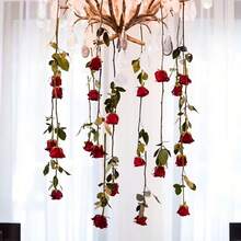6 peças (5 Rosas Vermelhas + 1 Rolo de Linha Transparente) / 11 peças (10 Rosas Vermelhas + 1 Rolo de Linha Transparente), Decoração Floral Romântica de Rosas Vermelhas Penduradas, Acompanha 15M de Linha Transparente, Adequado para Arco de Casamento e Decoração de Teto, Chá de Panela, Decoração de Mesa para Festa do Dia dos Namorados, Tema de Princesa, Centros de Mesa de Casamento, Decoração de Bottom de Festa