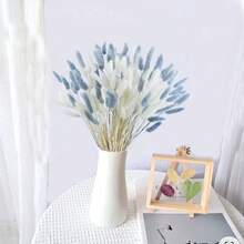 100 piezas de ramos de colas de conejo secas y mezcladas - Perfectas para arreglos florales DIY y decoración del hogar | Ideal para bodas, estilo rústico y celebraciones como Halloween, San Valentín, Acción de Gracias y Navidad