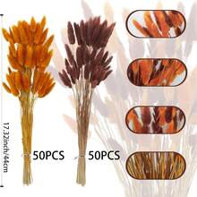 100 piezas de ramos de colas de conejo secas y mezcladas - Perfectas para arreglos florales DIY y decoración del hogar | Ideal para bodas, estilo rústico y celebraciones como Halloween, San Valentín, Acción de Gracias y Navidad