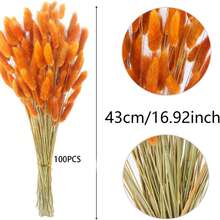 100 piezas de ramos de colas de conejo secas y mezcladas - Perfectas para arreglos florales DIY y decoración del hogar | Ideal para bodas, estilo rústico y celebraciones como Halloween, San Valentín, Acción de Gracias y Navidad