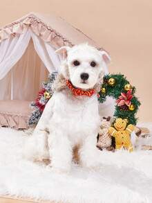 Christmas Pet Collar, Santa Claus Candy Bow Print Cat Dog Collar, Christmas Decorative Collar