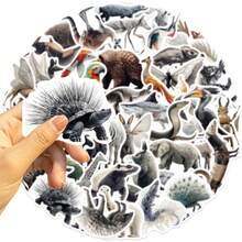 50 张可爱动物贴纸斑马幻影动物园动物贴纸野生动物贴纸丛林动物贴纸动物贴纸乙烯基防水贴纸适用于水瓶、电脑、笔记本电脑、手机、行李箱、笔记本、冰箱 - C - 查看 8