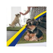 Super Absorbent Microfiber Dog Door Mat For Muddy Paws, Non-Slip Washable Quick Dry Chenille Entryway Carpet, Machine Washable Indoor Outdoor Mat, Beige 28"X18" - 軍綠色 - 查看 2